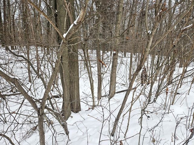 14th Avenue Parcel A, South Haven, MI 49090