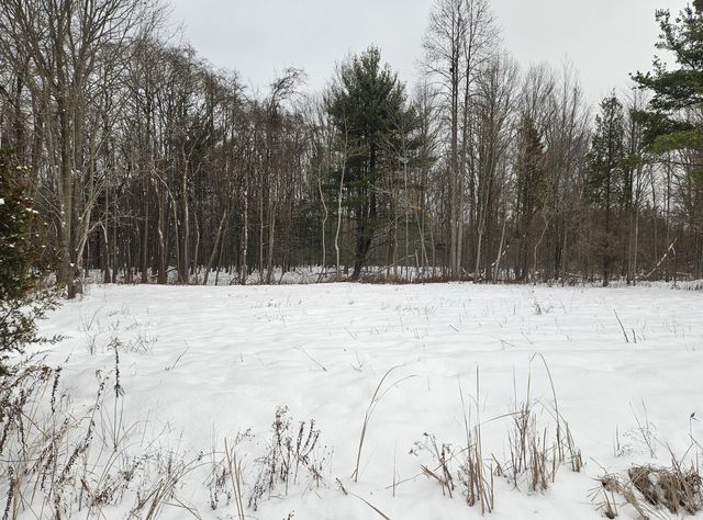 14th Avenue Parcel A, South Haven, MI 49090