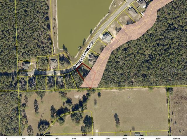 569 SW BELLFLOWER DRIVE, Lake City, FL 32024