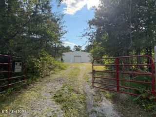 Reid Watson Rd, Deer Lodge, TN 37726