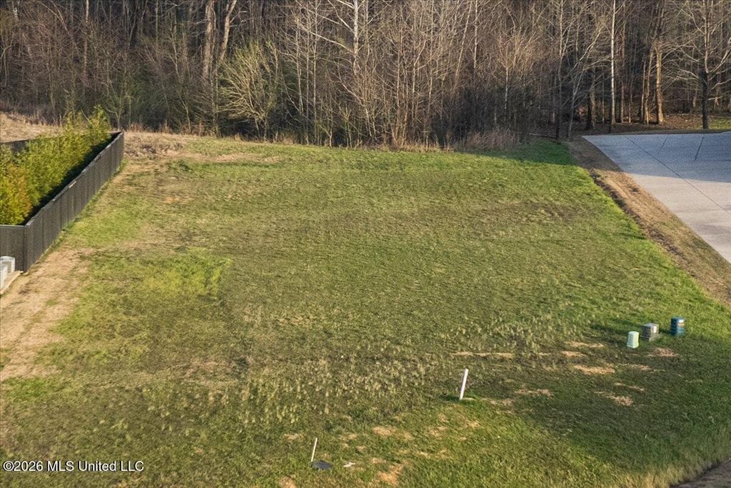 179 Hayes Cove, Olive Branch, MS 38654 — photo 5