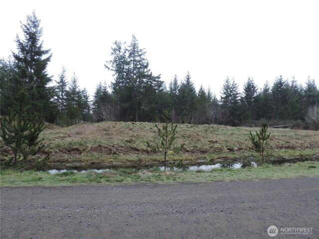 4 Cottonwood, Grapeview, WA 98546