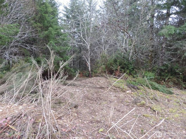 4 Cottonwood, Grapeview, WA 98546