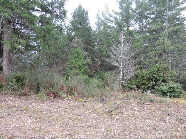 4 Cottonwood, Grapeview, WA 98546