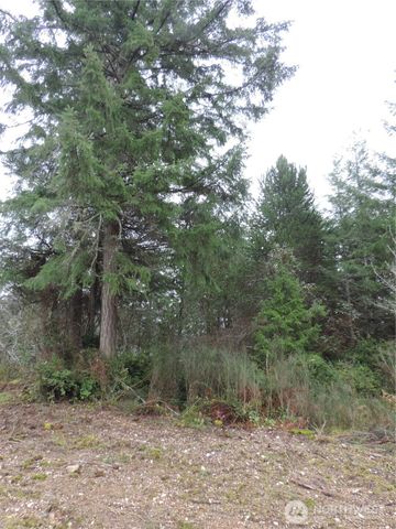 4 Cottonwood, Grapeview, WA 98546