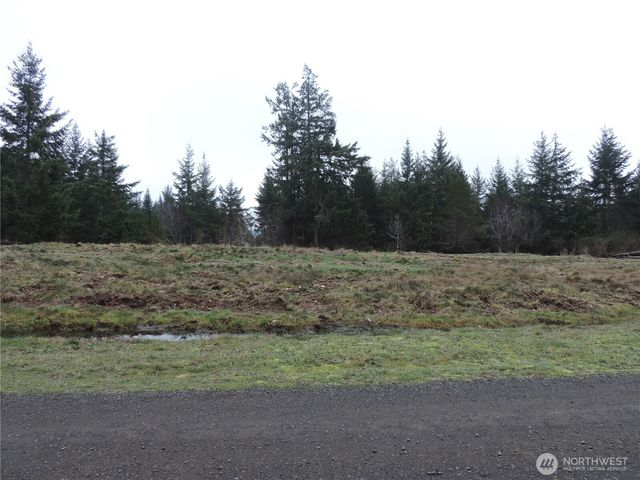 4 Cottonwood, Grapeview, WA 98546