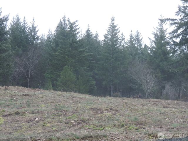 4 Cottonwood, Grapeview, WA 98546