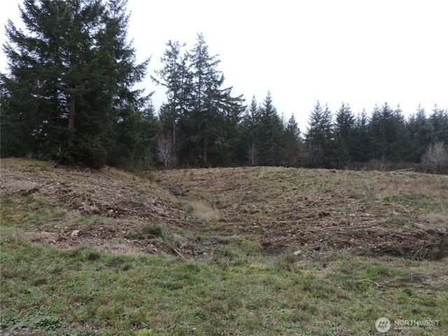 4 Cottonwood, Grapeview, WA 98546