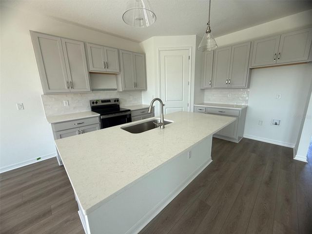 5243 PAINTED BAMBOO STREET, St Cloud, FL 34771