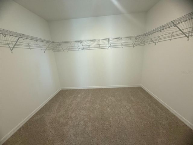 5243 PAINTED BAMBOO STREET, St Cloud, FL 34771