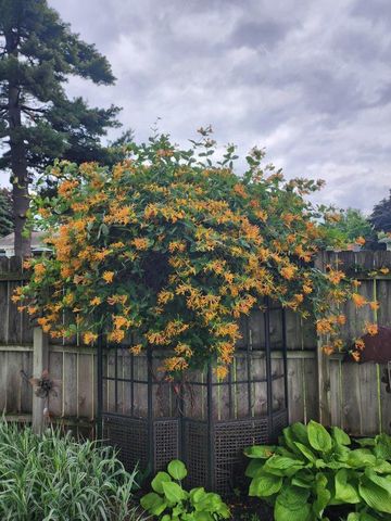 1062 Kenneth Street, Eagan, MN 55121