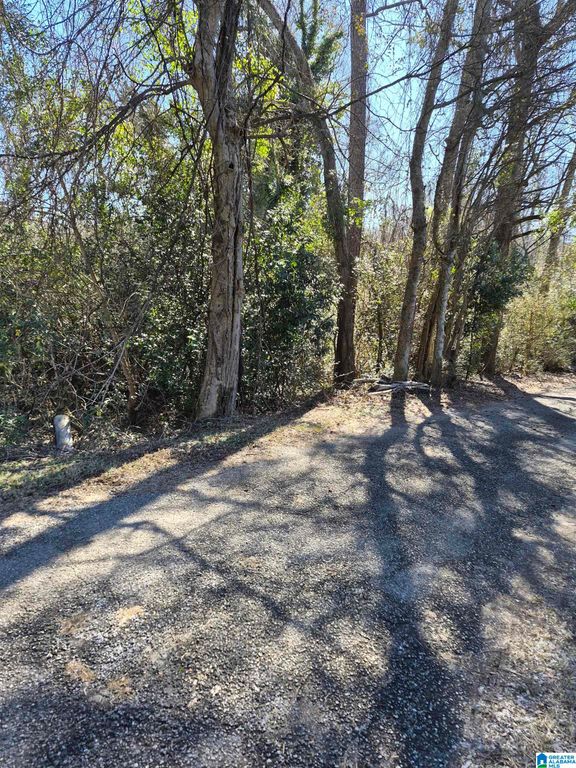 348 HAPPY LANE, Birmingham, AL 35209