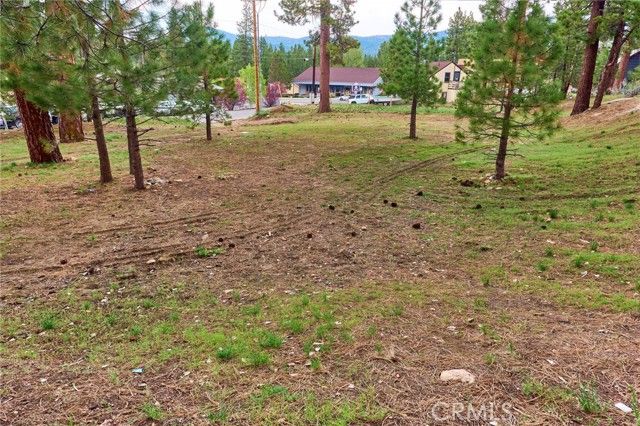 545 Wren Drive, Big Bear Lake, CA 92315