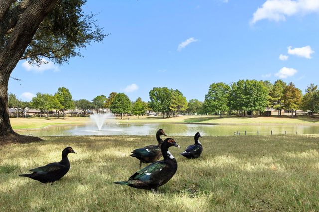 8034 Ivy Bush Bend Lane, Richmond, TX 77407