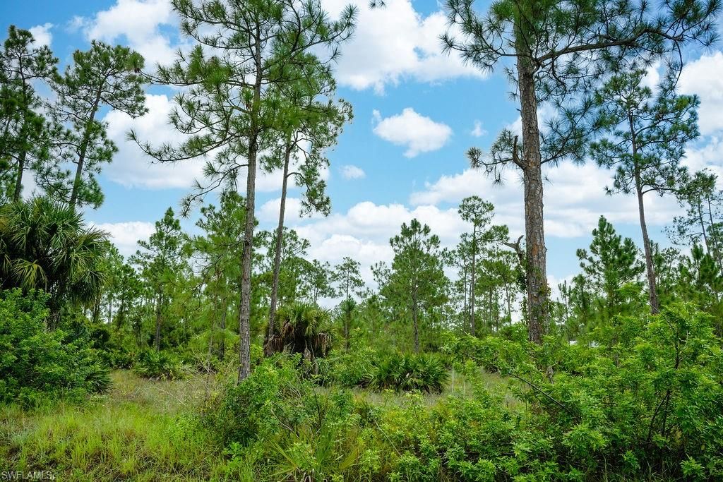 1222 North AVE, LEHIGH ACRES, FL 33972 — photo 3