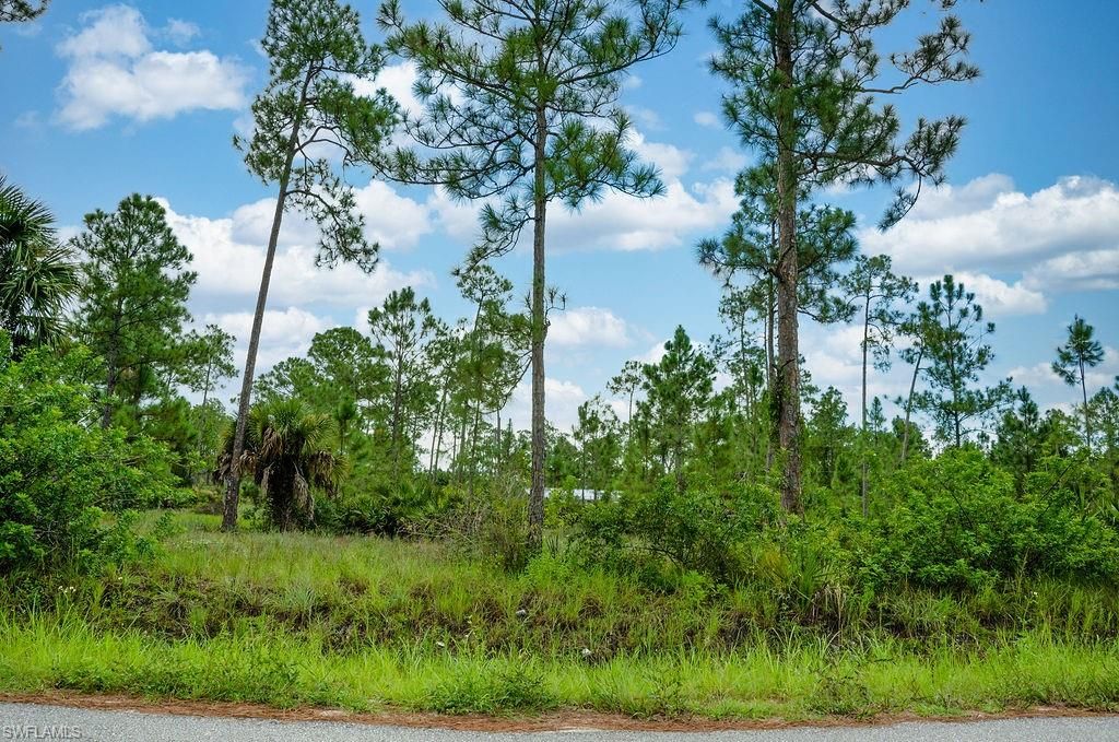 1222 North AVE, LEHIGH ACRES, FL 33972 — photo 4
