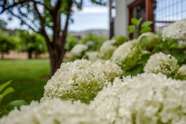 6476 Red Winery Rd, Healdsburg, CA 95441