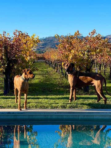 6476 Red Winery Rd, Healdsburg, CA 95441