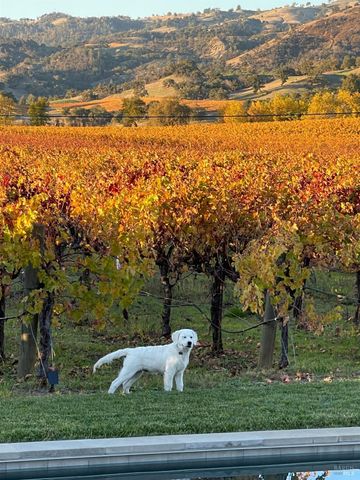 6476 Red Winery Rd, Healdsburg, CA 95441