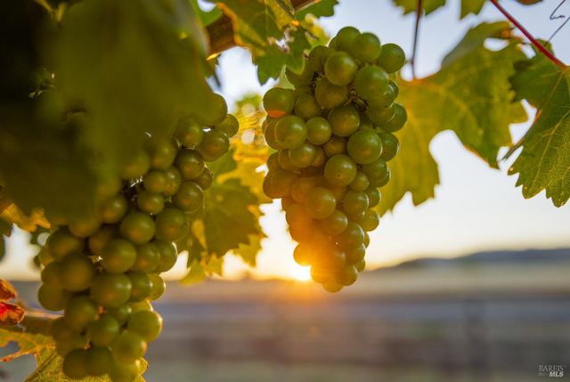 6476 Red Winery Rd, Healdsburg, CA 95441