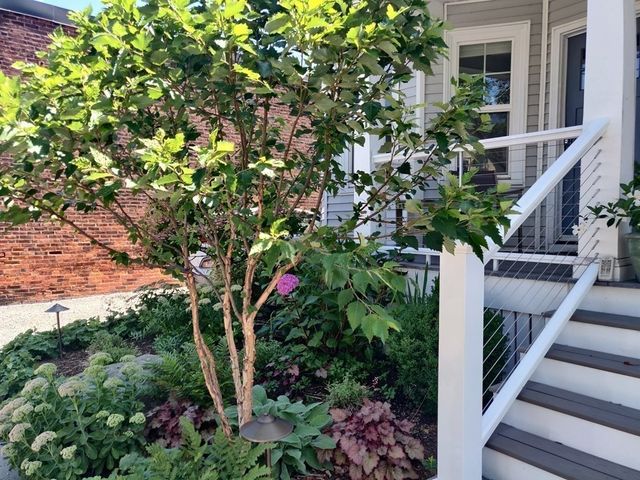 8 Lafayette St 1, Arlington, MA 02474