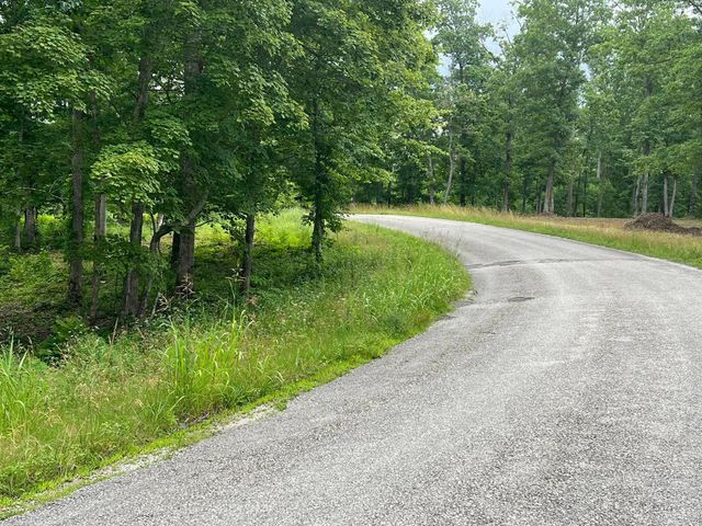 3 Slaughter Rd, Primm Springs, TN 38476