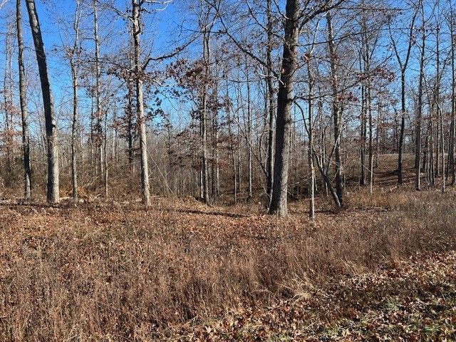 3 Slaughter Rd, Primm Springs, TN 38476