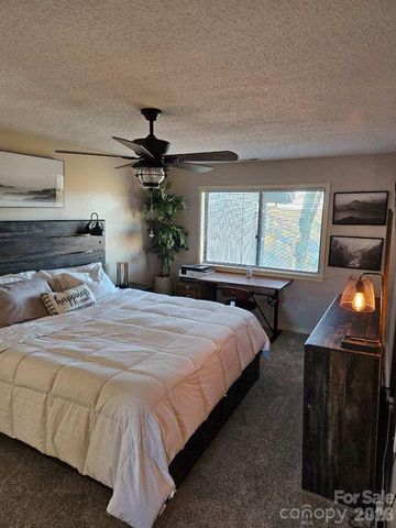 283 Tinequa Drive, Brevard, NC 28712