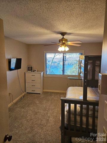 283 Tinequa Drive, Brevard, NC 28712