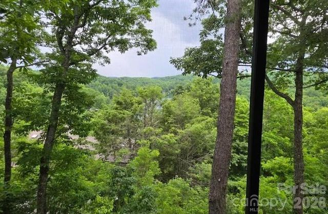 283 Tinequa Drive, Brevard, NC 28712