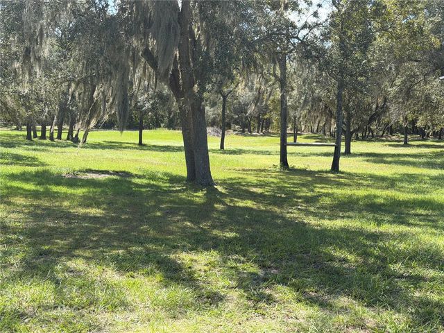 6224 W AMMAN STREET, Dunnellon, FL 34433
