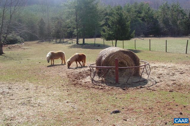 2893 SCOTTSVILLE RD, Charlottesville, VA 22902