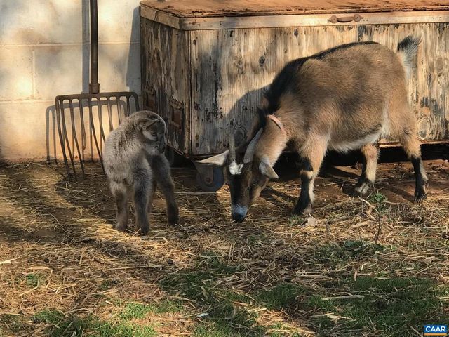 2893 SCOTTSVILLE RD, Charlottesville, VA 22902