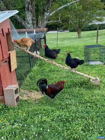 2893 SCOTTSVILLE RD, Charlottesville, VA 22902