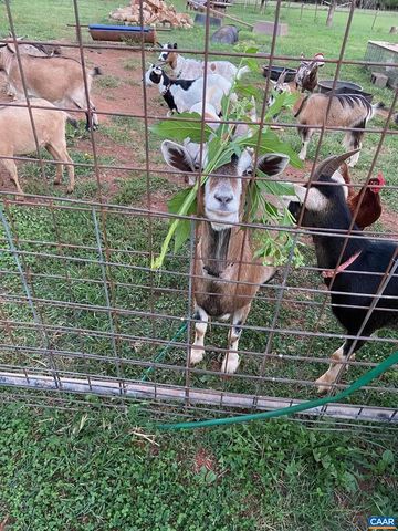 2893 SCOTTSVILLE RD, Charlottesville, VA 22902