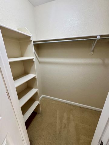 3904 Pecos Trail, Castle Rock, CO 80109