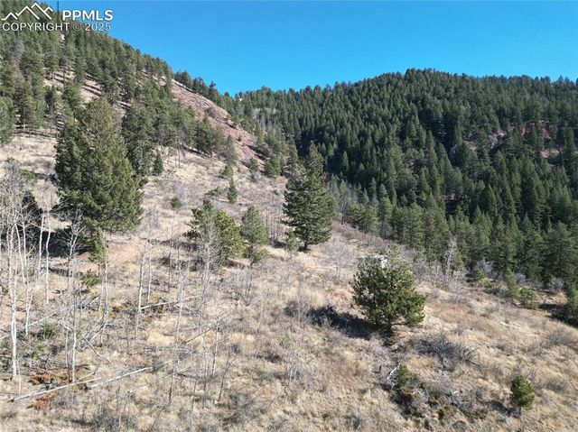 1375 Blue Haven Place, Woodland Park, CO 80863