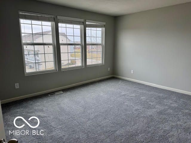 12687 White Chapel Circle, Fishers, IN 46037