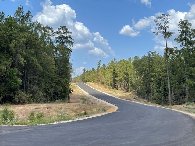 68 Coyote Run, New Waverly, TX 77358