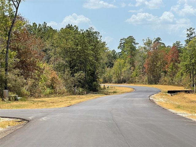68 Coyote Run, New Waverly, TX 77358