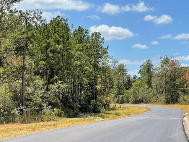 68 Coyote Run, New Waverly, TX 77358