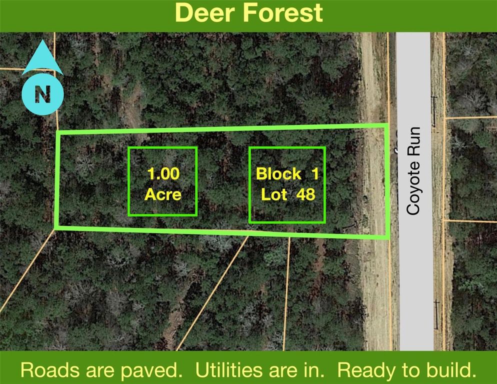 68 Coyote Run, New Waverly, TX 77358