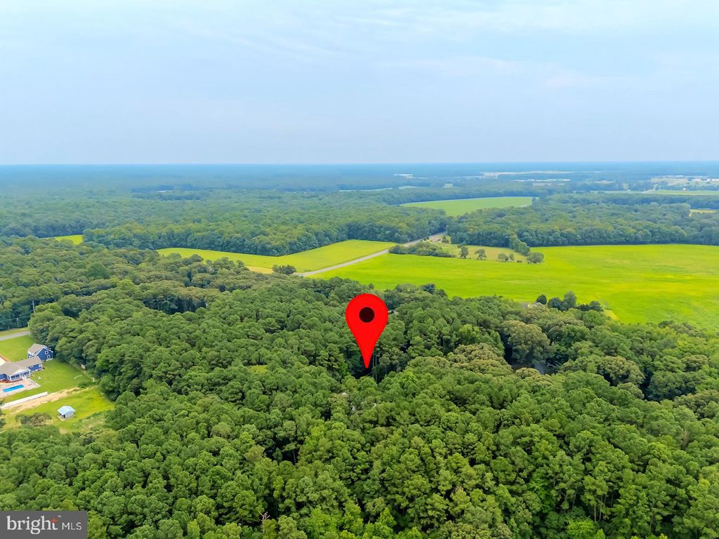22095 WILSON RD, Georgetown, DE 19947
