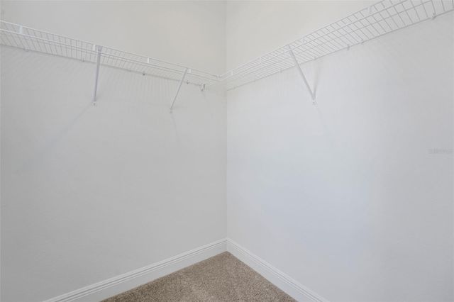 14383 CREST PALM AVENUE, Windermere, FL 34786