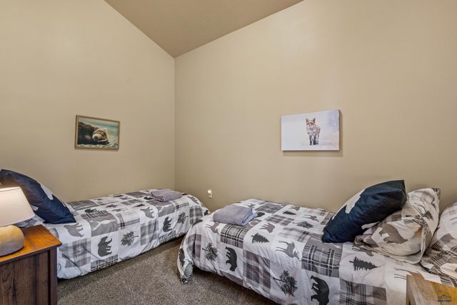 11312 SPRINGWOOD CT, Lead, SD 57754