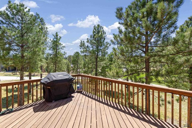 11312 SPRINGWOOD CT, Lead, SD 57754