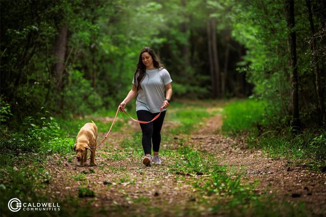 9511 Sierra Crest Lane, Porter, TX 77365