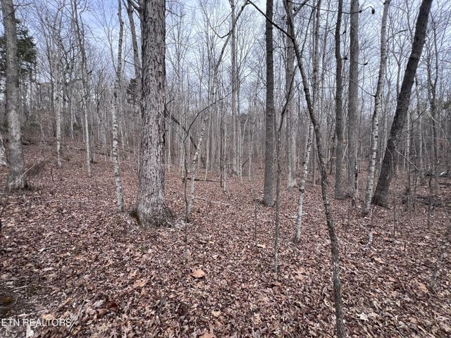 0 Buffalo Cove Lane, Jamestown, TN 38556