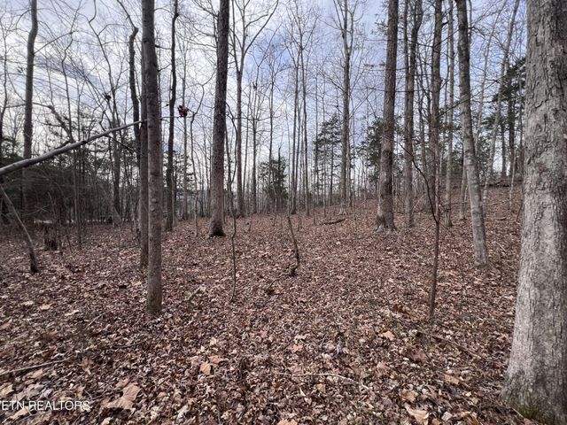 0 Buffalo Cove Lane, Jamestown, TN 38556