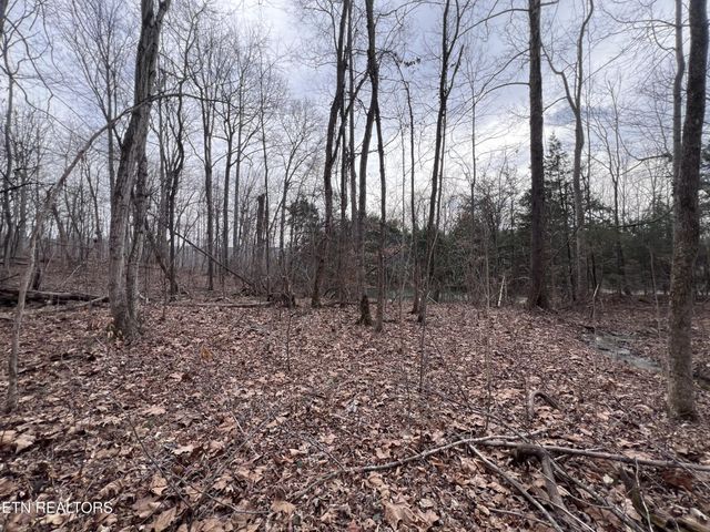 0 Buffalo Cove Lane, Jamestown, TN 38556